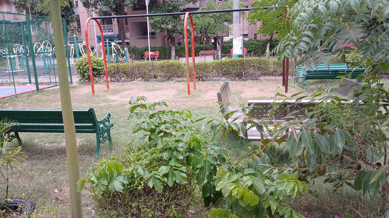 Children's garden and swing area